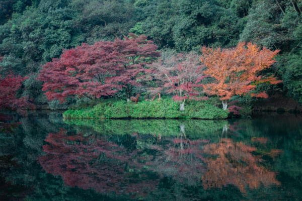 [最新活动]11.14（周六）西湖群山南北穿越，九溪—老和山！