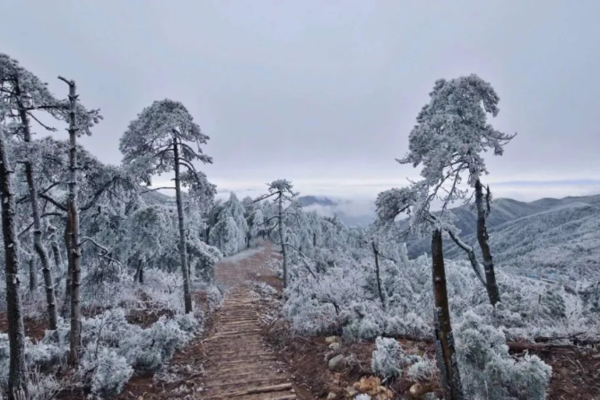 【雪山雾凇】12.17（周六）徒步百丈岭古道，邂逅雾凇雪山！