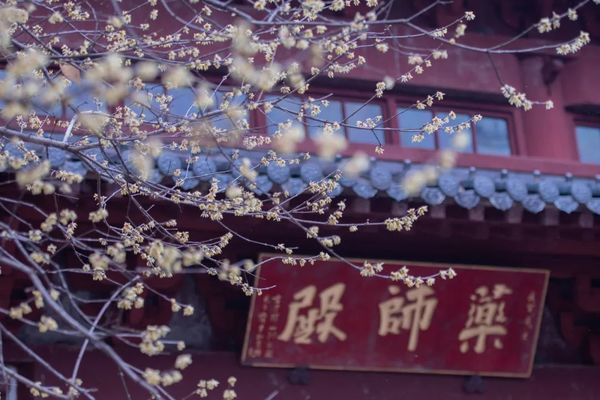 【礼佛国清寺】2.26（周日）近观天台大瀑布，礼佛天台宗国清寺，赏千年隋梅！这个周日准备好出发了吗？