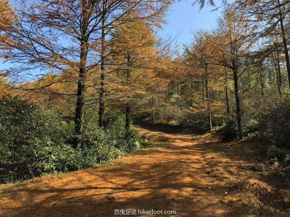 fVRdd8DkriiBNNSMAmmGCF_FQwA0VDHIvPdWPYxH6oCIEzTcmgGHB6fklzoRcNq_