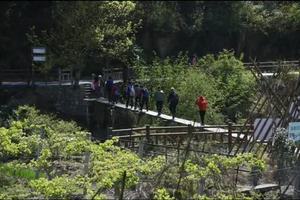 新昌小黄山水牛背之行