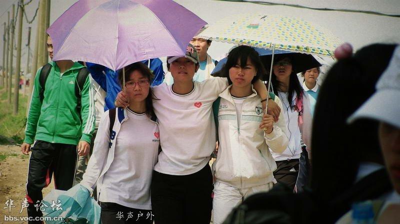 201104291331475331-2768542