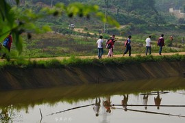 20120425221025591-3219555