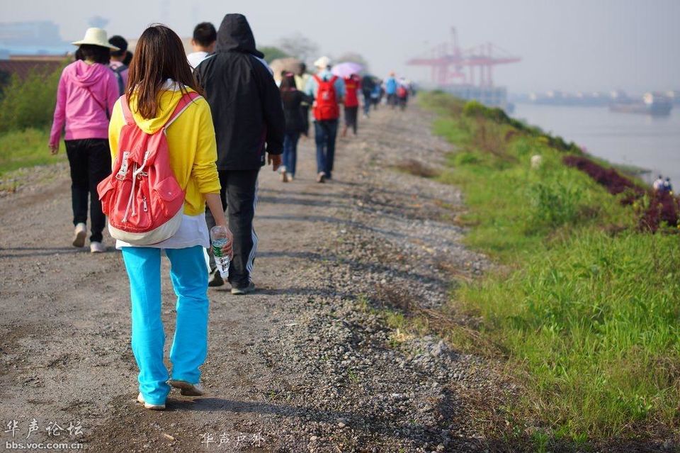 20120425221339791-3219555