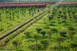 201204252208011431-3219555