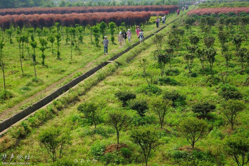 201204252208011431-3219555