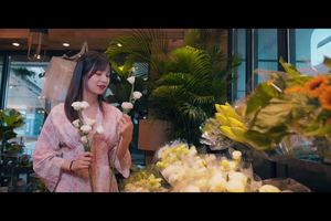 2019秋季湖南百公里宣传片