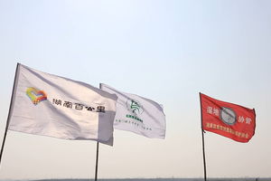 候鸟保护者的一天