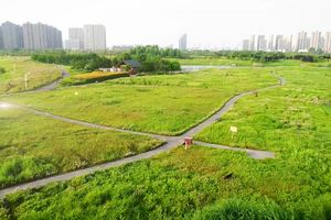 人生路 爱相随!2023长沙(夏季)走娃报名启动