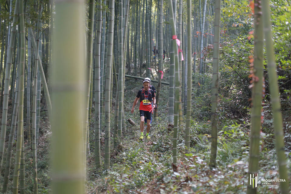 359A2075密密麻麻的布线