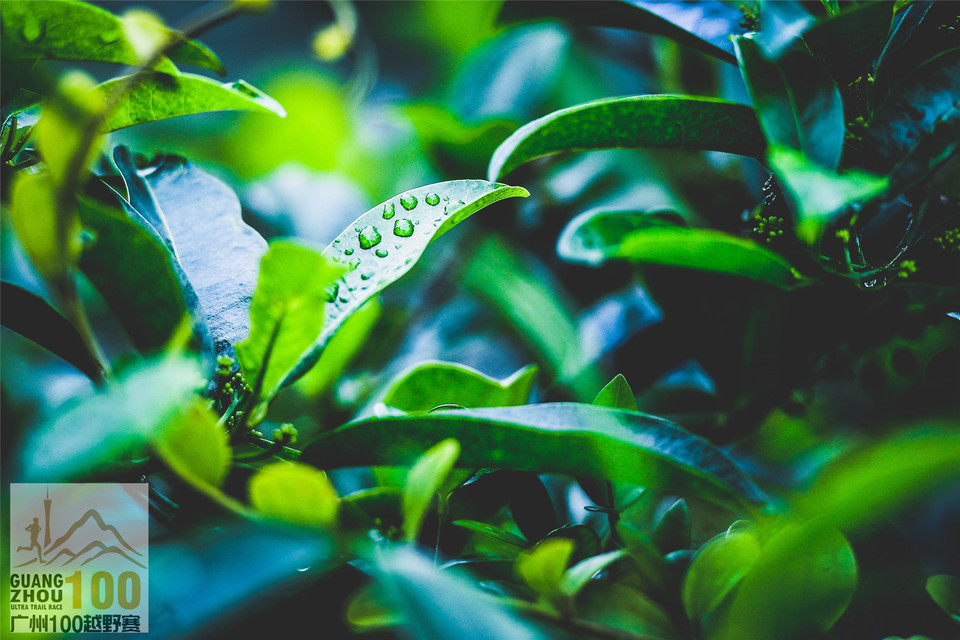 广州100Day1_0502 (34)