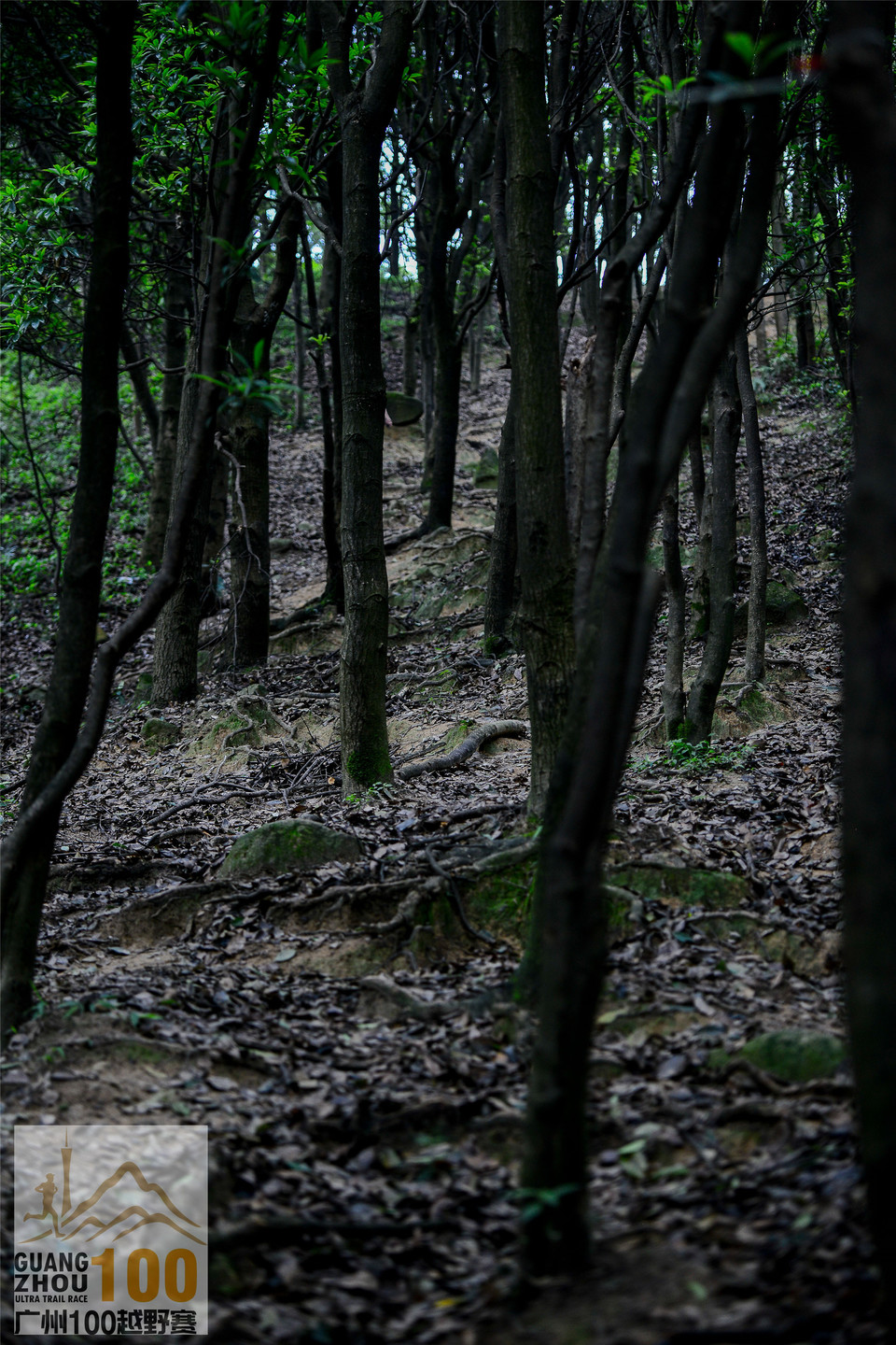 2019广州100越野赛0503 (116)