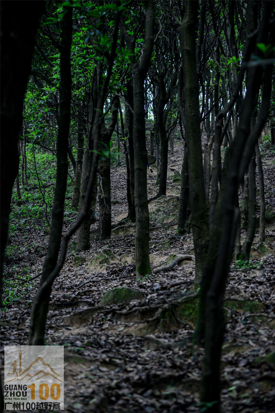 2019广州100越野赛0503 (117)