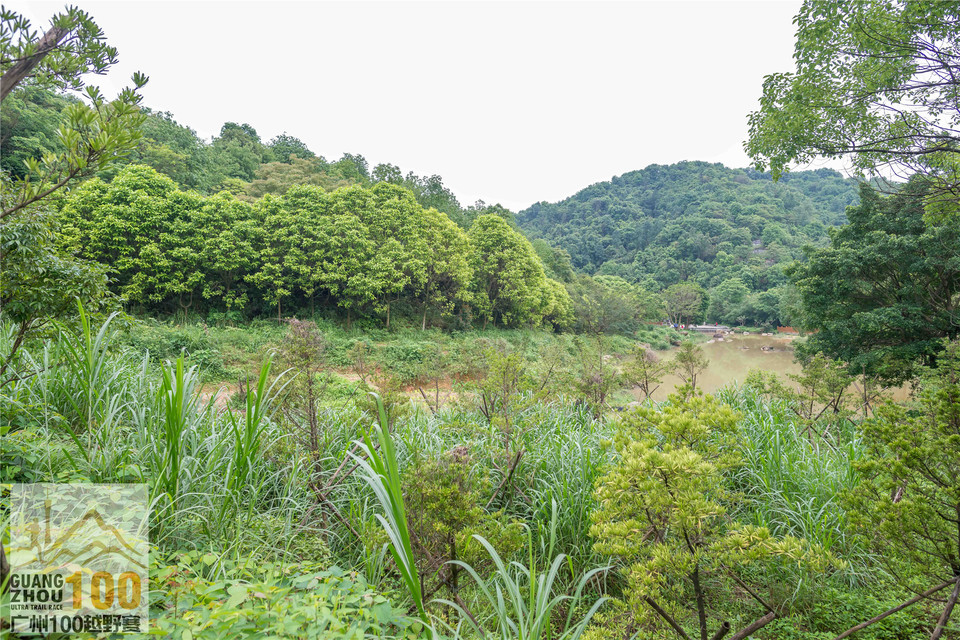 2019广州100越野赛0503 (141)