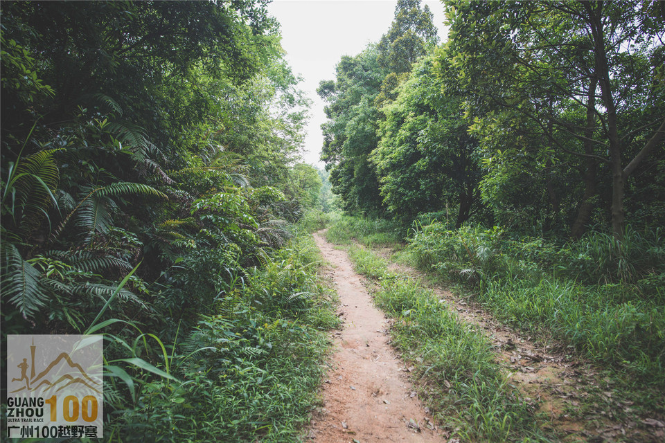 2019广州100越野赛0503 (142)