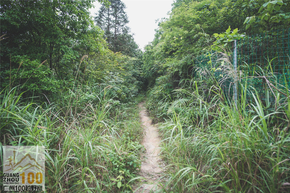 2019广州100越野赛0503 (143)