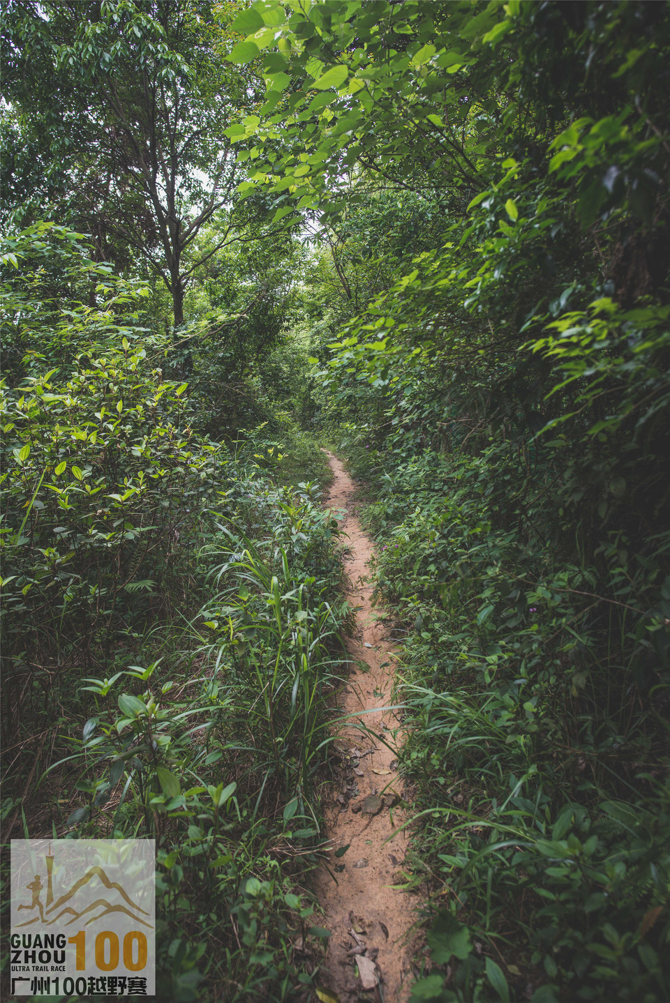 2019广州100越野赛0503 (145)