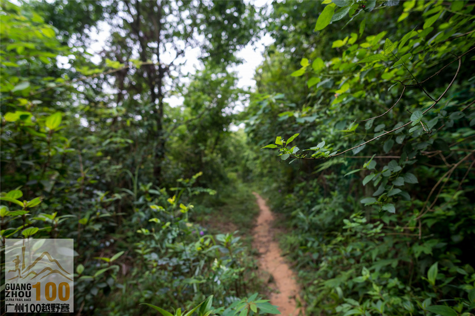 2019广州100越野赛0503 (146)