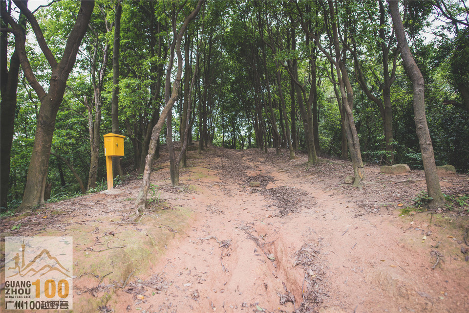 2019广州100越野赛0503 (147)