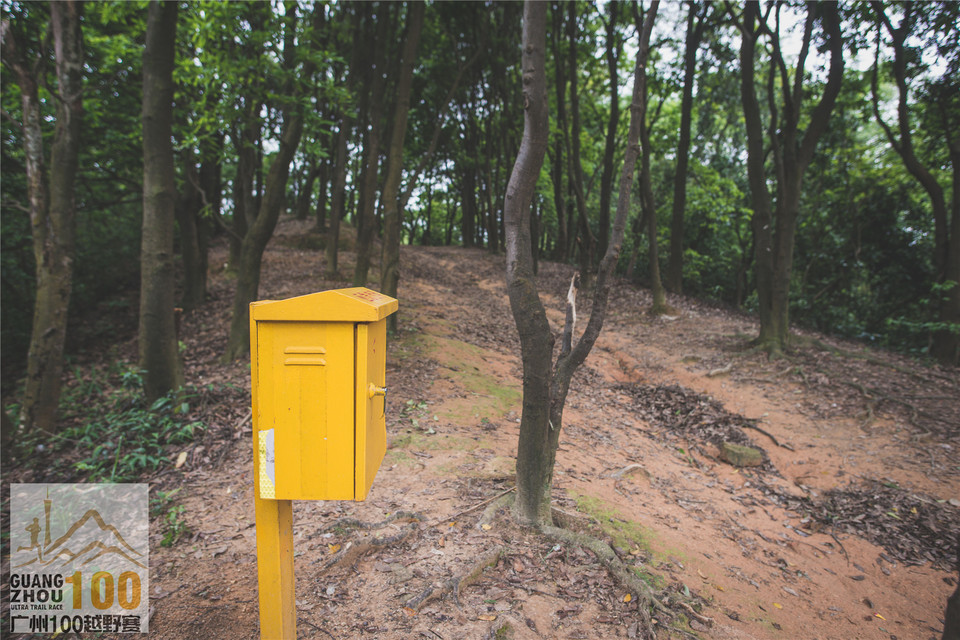 2019广州100越野赛0503 (148)