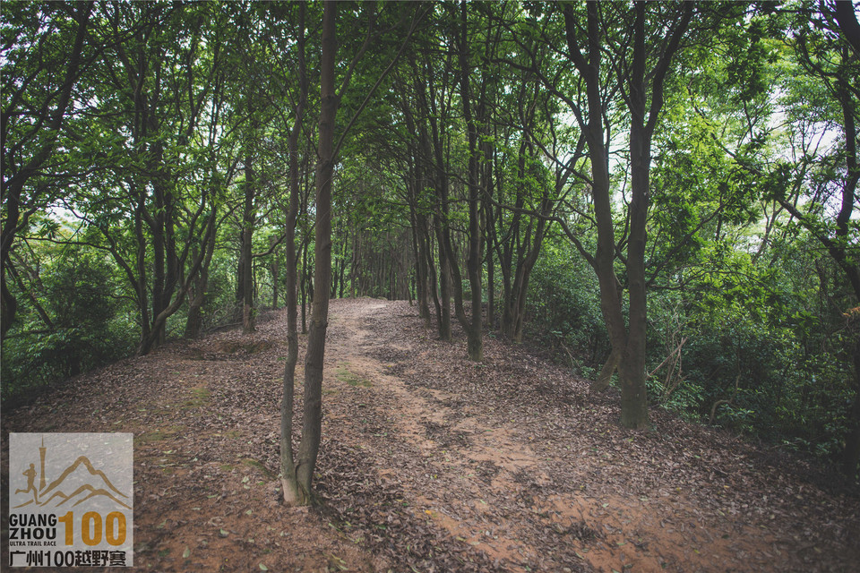 2019广州100越野赛0503 (150)