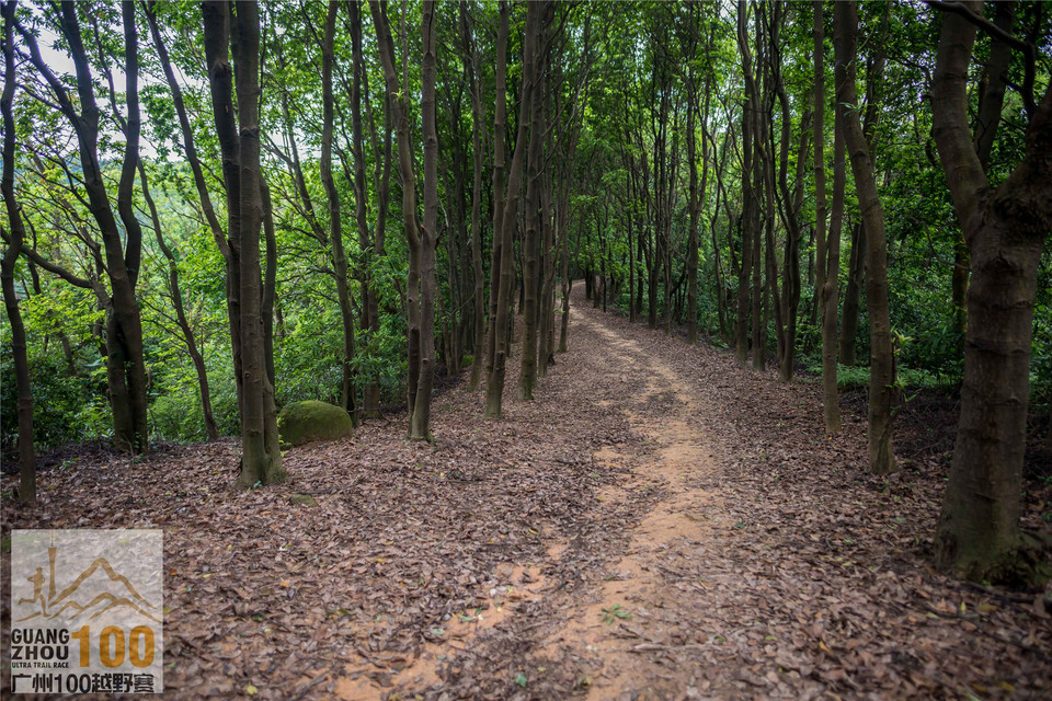 2019广州100越野赛0503 (151)