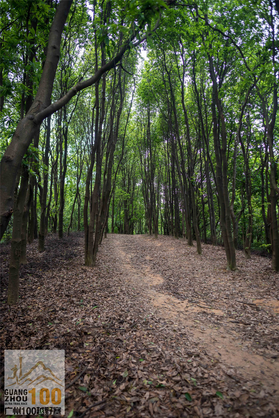 2019广州100越野赛0503 (152)