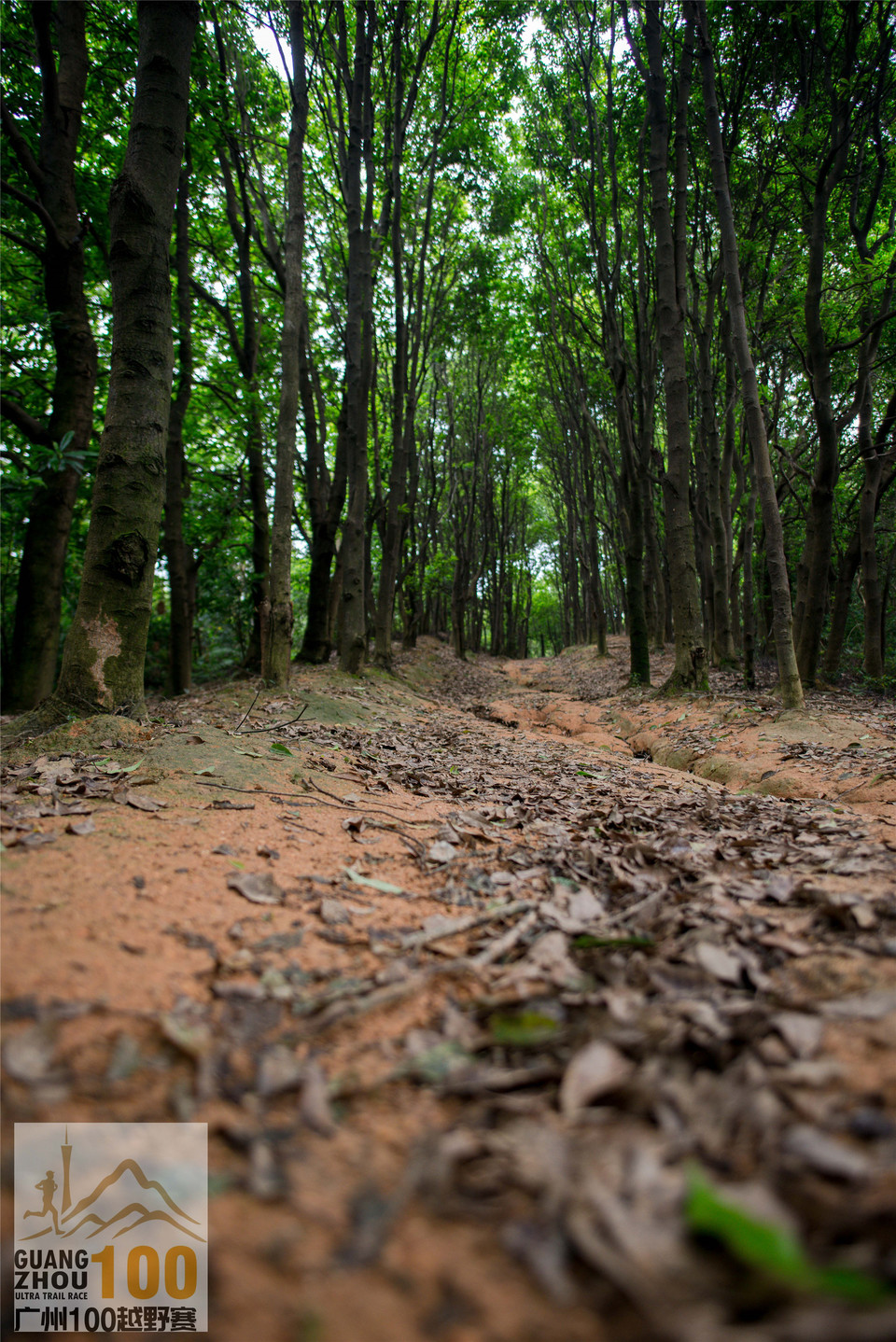 2019广州100越野赛0503 (153)