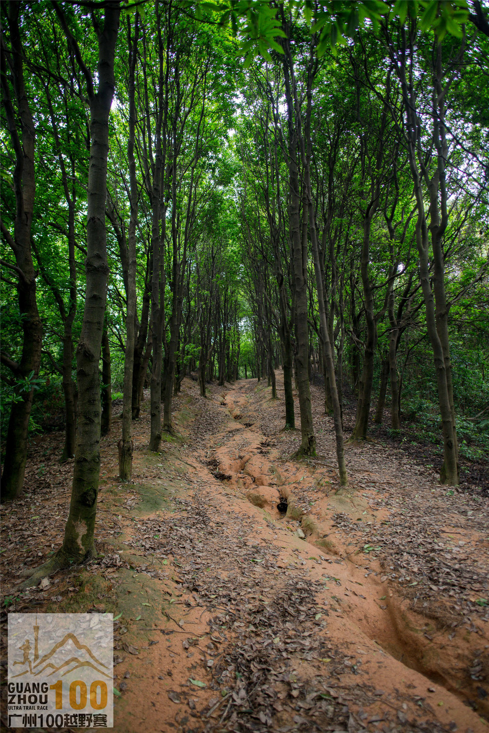 2019广州100越野赛0503 (154)