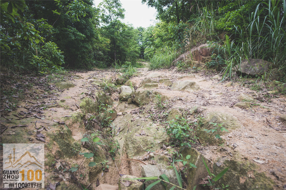 2019广州100越野赛0503 (155)