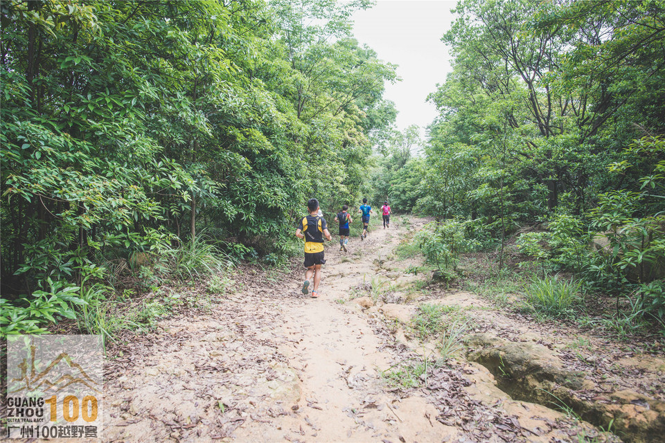 2019广州100越野赛0503 (166)