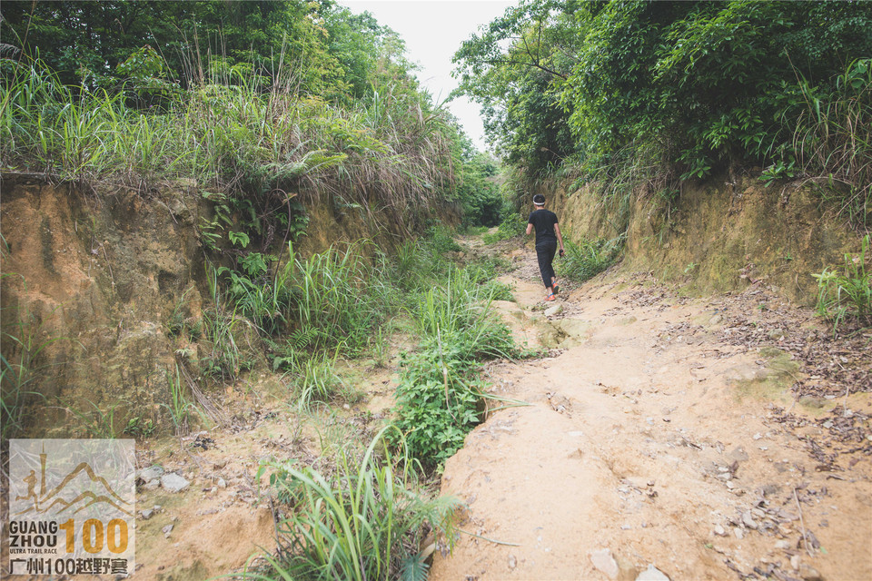 2019广州100越野赛0503 (167)