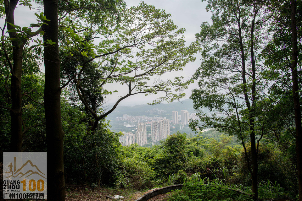 2019广州100越野赛0503 (169)