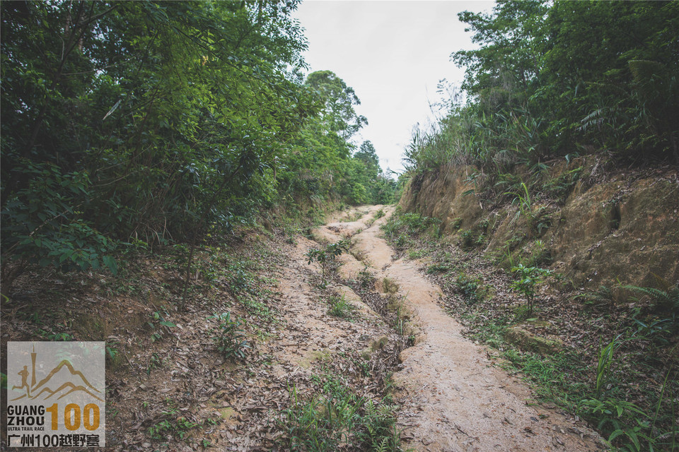 2019广州100越野赛0503 (170)