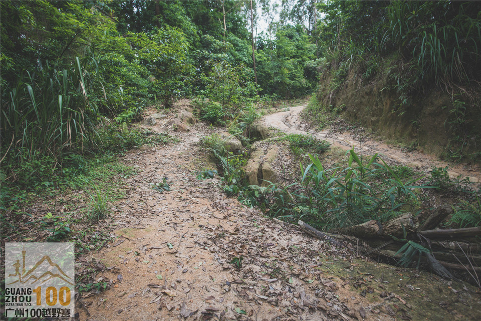 2019广州100越野赛0503 (175)