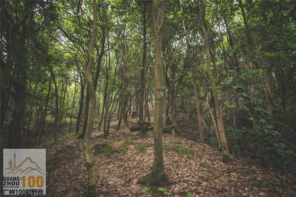 2019广州100越野赛0503 (176)