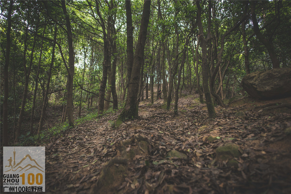 2019广州100越野赛0503 (177)