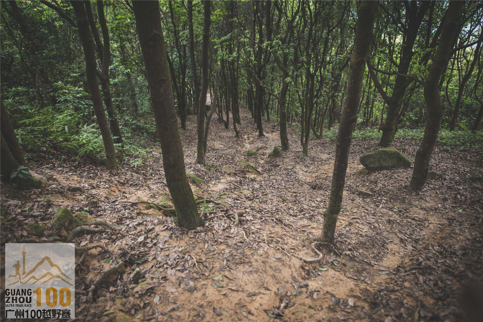 2019广州100越野赛0503 (178)