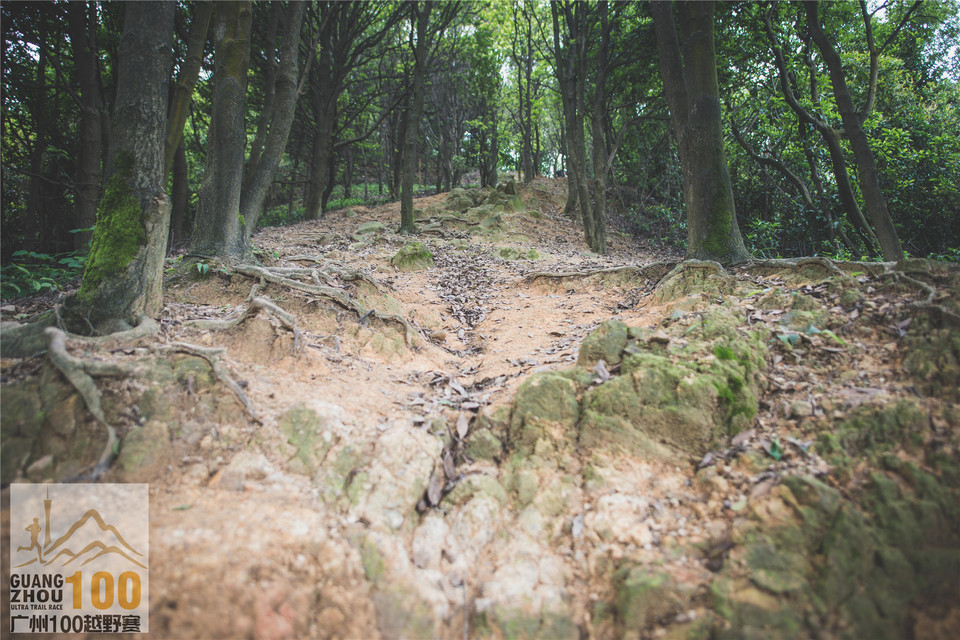 2019广州100越野赛0503 (179)