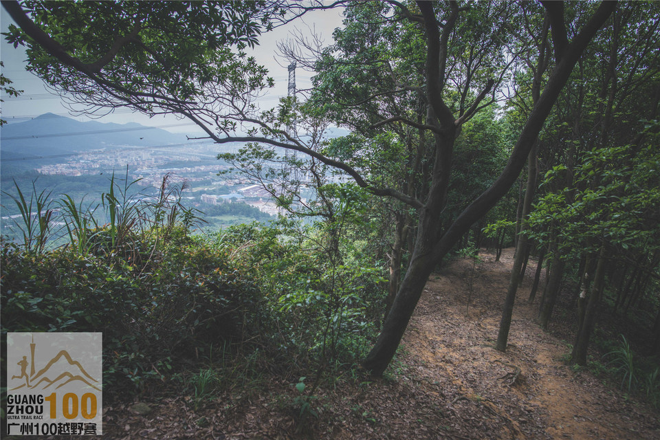 2019广州100越野赛0503 (180)