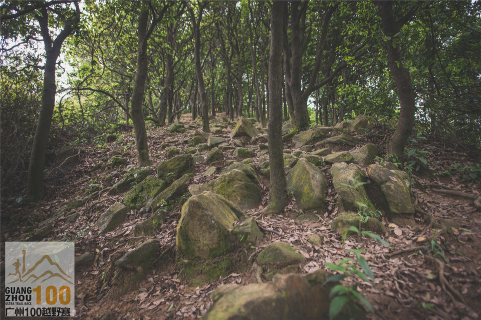2019广州100越野赛0503 (183)