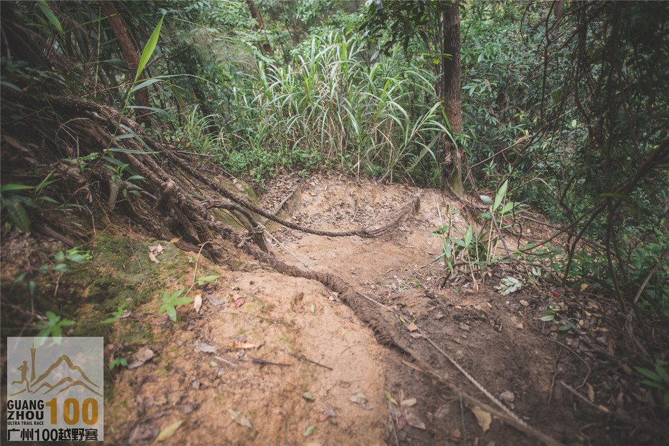2019广州100越野赛0503 (184)