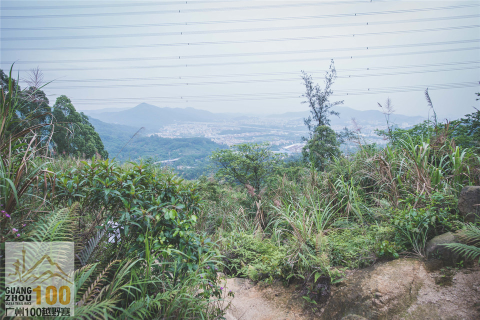 2019广州100越野赛0503 (185)