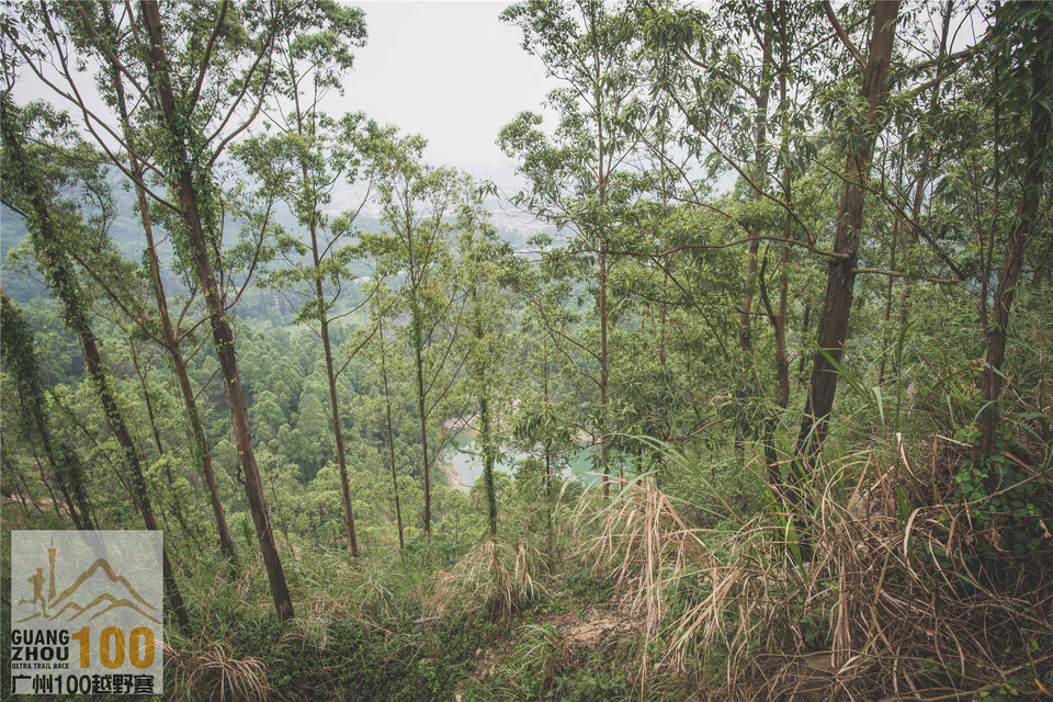 2019广州100越野赛0503 (186)