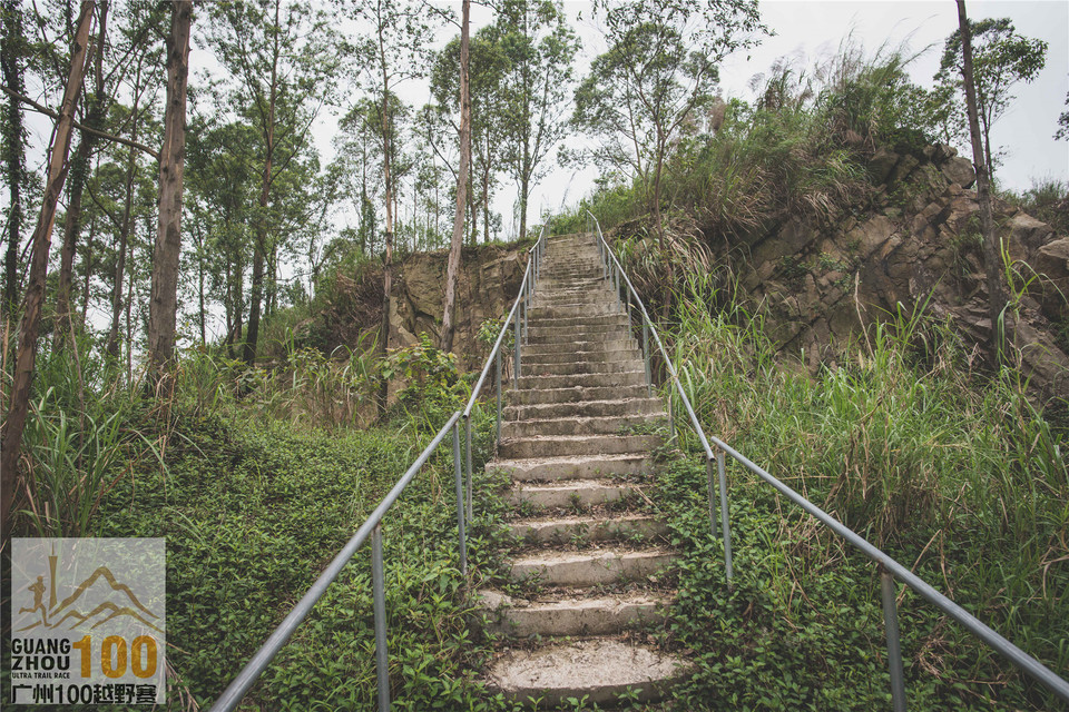 2019广州100越野赛0503 (187)