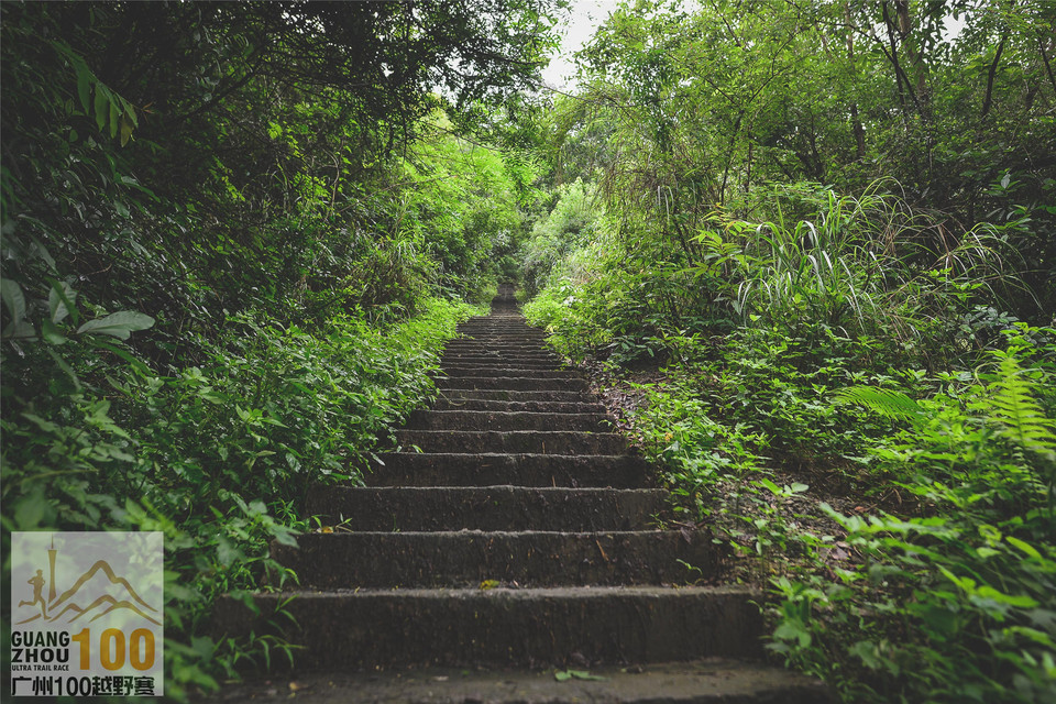 2019广州100越野赛0503 (194)