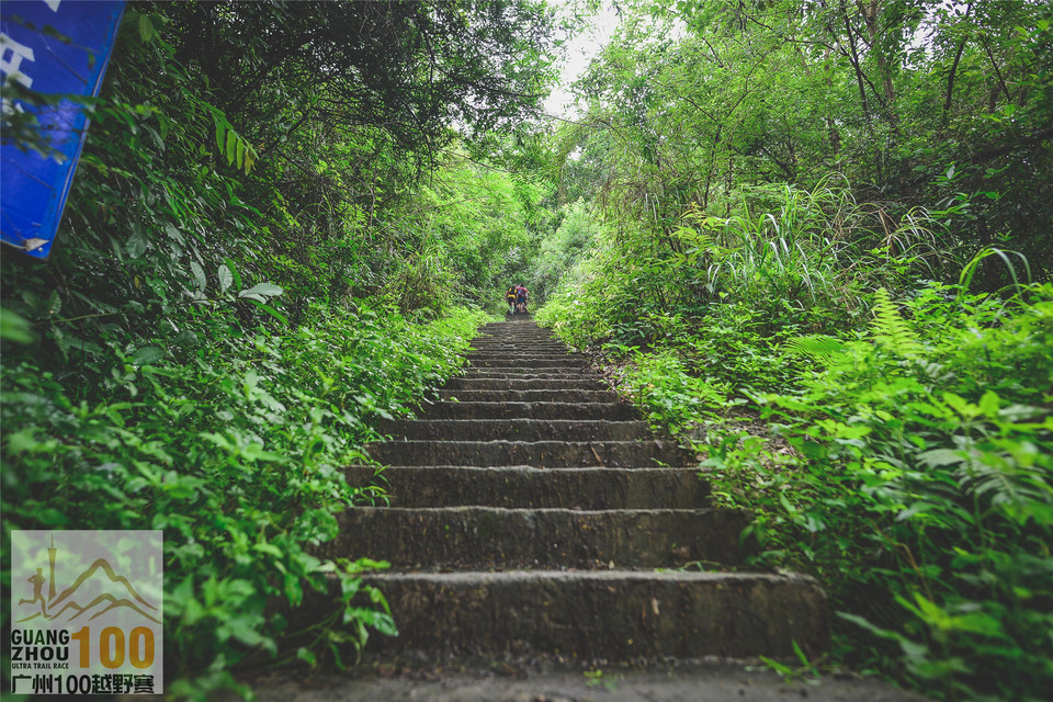 2019广州100越野赛0503 (206)