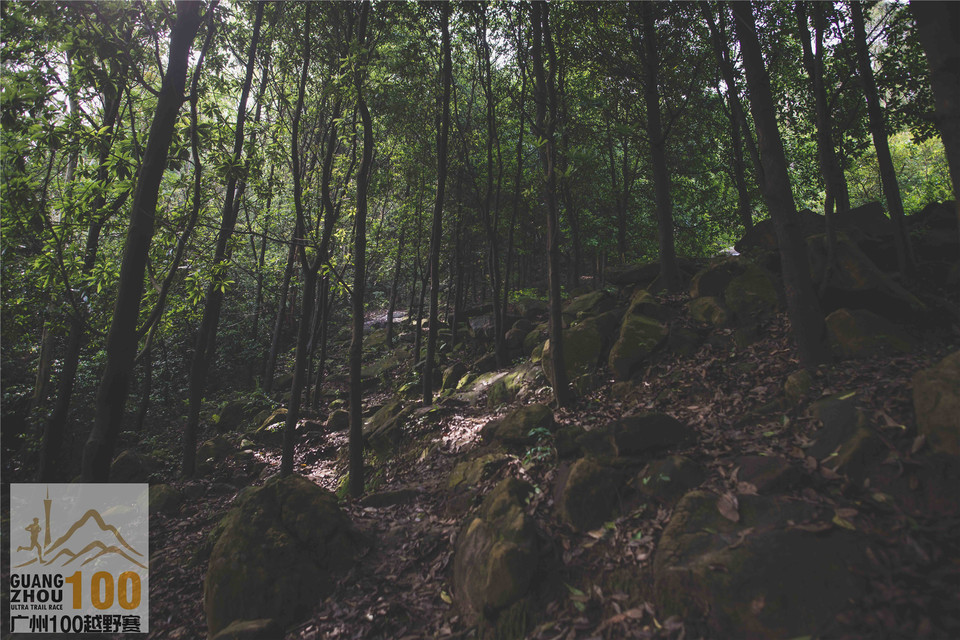 2019广州100越野赛0503 (209)