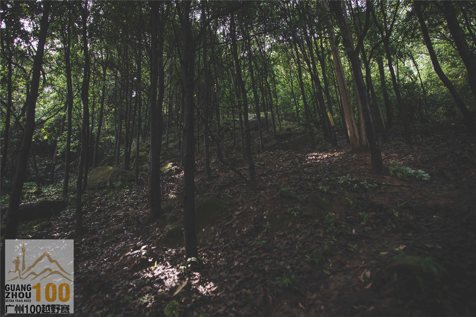 2019广州100越野赛0503 (210)