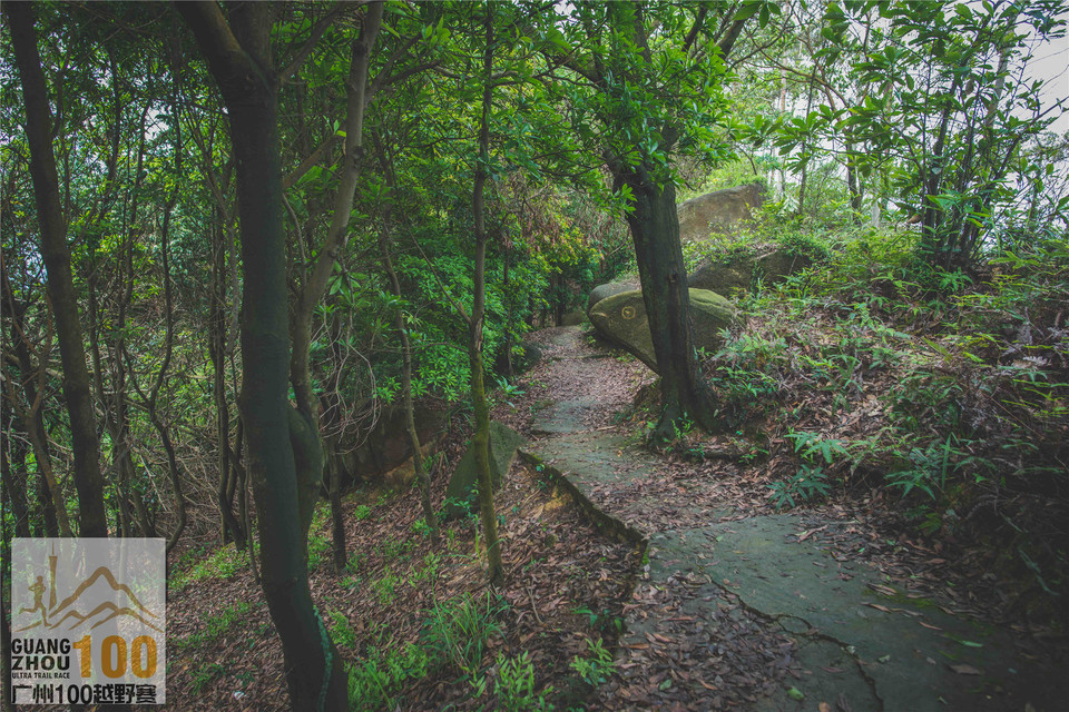 2019广州100越野赛0503 (231)